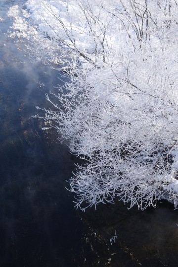 明けましておめでとうございます。