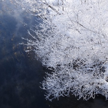 明けましておめでとう…