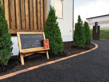 ビャクシンが植わりました。