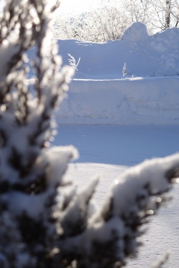 3/19（土）〜23（水）お休みいたしますm(_ _)m