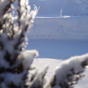 3/19（土）〜23…