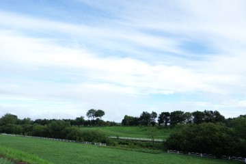 花火大会時の営業と夏休みのお知らせ