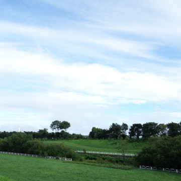 花火大会時の営業と夏…