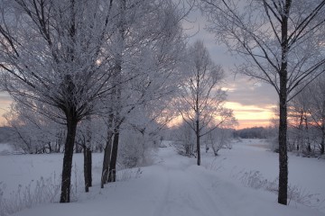 2月のお休みのお知らせ