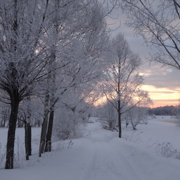 2月のお休みのお知ら…
