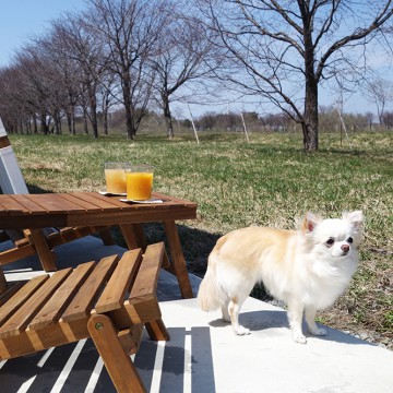 テラス席ができました…