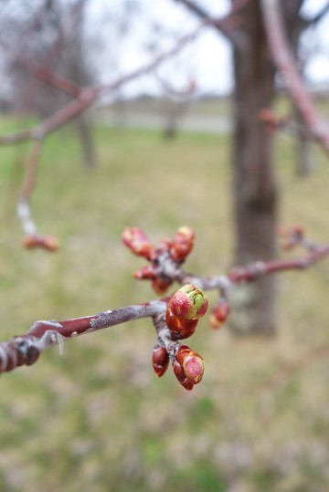 GWと5月の営業のお知らせ