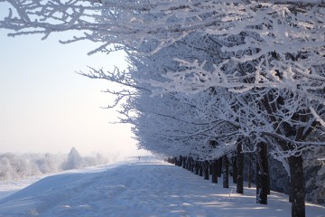 2月12日（月/祝）霧氷カフェ＆シャボン玉