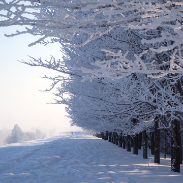 2月12日（月/祝）…