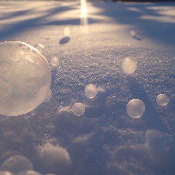 2月12日（月/祝）…