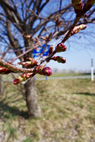 GWと5月の営業のお知らせ