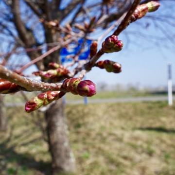 GWと5月の営業のお…