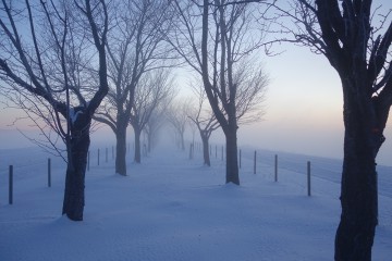 冬休みのお知らせ