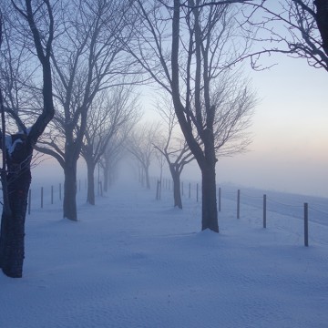 冬休みのお知らせ