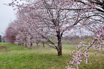 GW期間、本日のみお休みです！