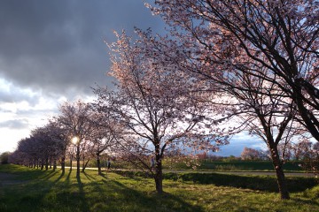 2月29日、3月1日お休みいたします。