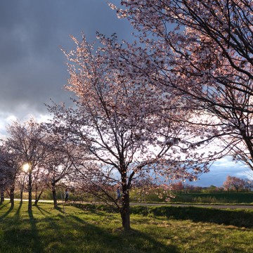2月29日、3月1日…