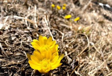 営業再開のお知らせ