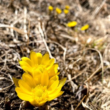 営業再開のお知らせ