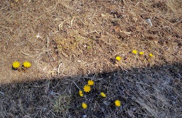 4月のお休みのお知らせ