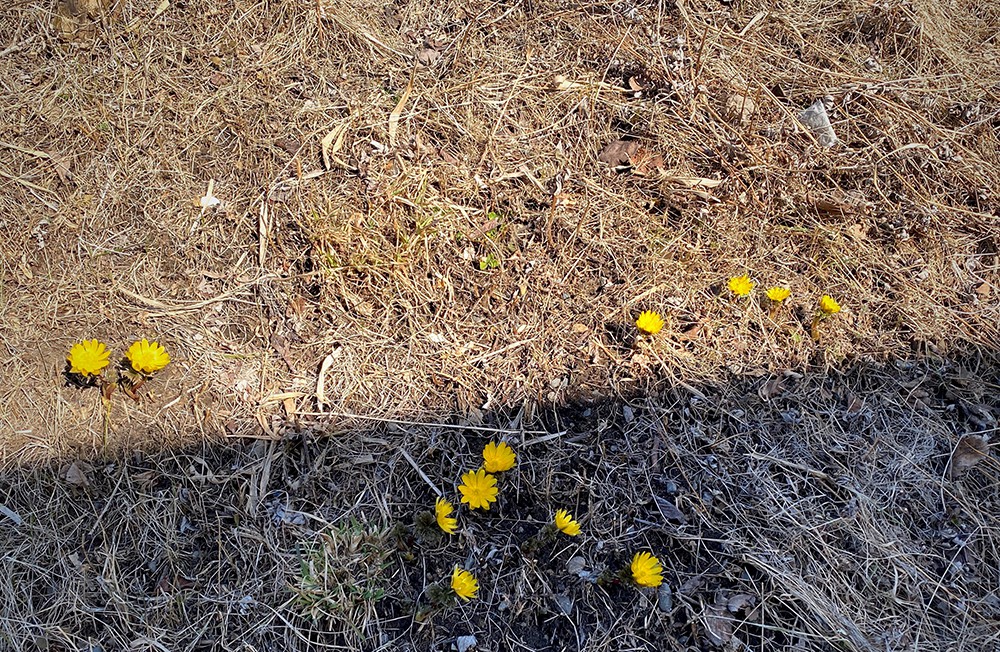 4月のお休みのお知らせ