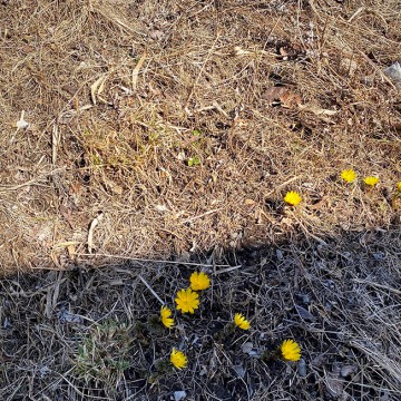 4月のお休みのお知ら…