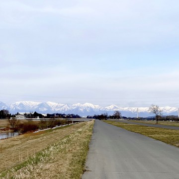 新型コロナウィルスの…