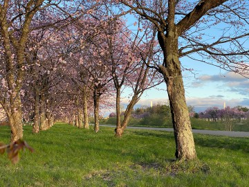 営業再開延期について