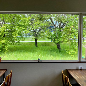 営業再開のお知らせ