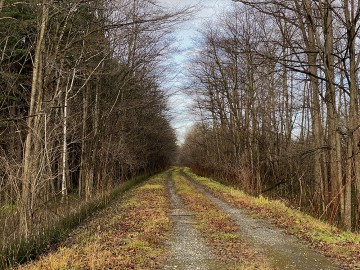 明日11月23日（祝）までお休みします。
