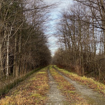 明日11月23日（祝…
