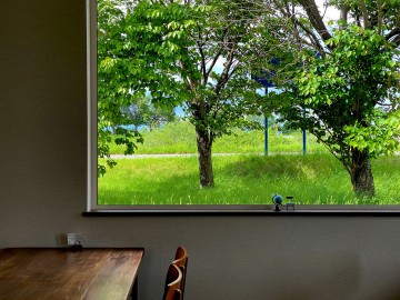 6月20日まで休業いたします