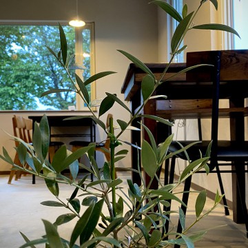 営業曜日が変更になり…