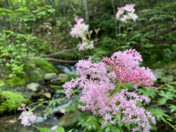 本日都合によりお休みします