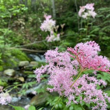 本日都合によりお休み…