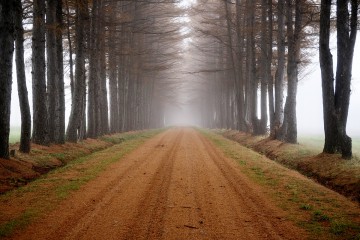 11月のお休みのお知らせ