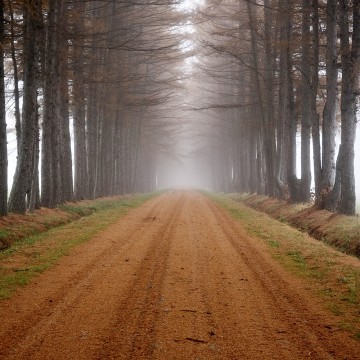 11月のお休みのお知…