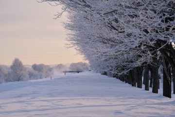 1月29日（土）からの営業について