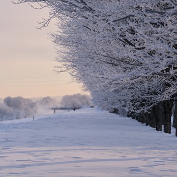 1月29日（土）から…