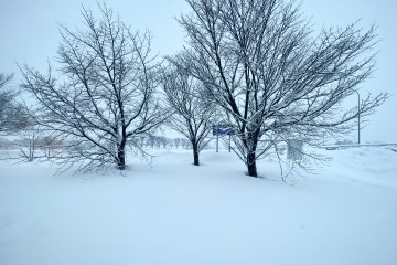 2/20（日）本日お休みします。