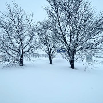 2/20（日）本日お…