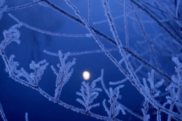 2月26日（土）・27日（日）お休みいたします