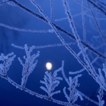 2月26日（土）・2…