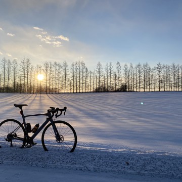 3月27日（日）モー…