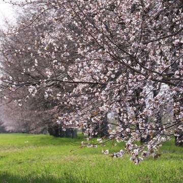 GW期間中の営業日の…