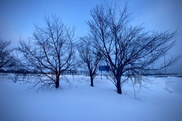 2023年営業開始のお知らせ