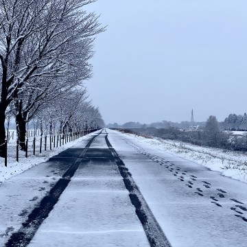 12月のお休みのお知…