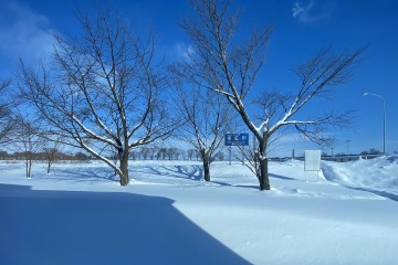 3月のお休みとコーヒーのお知らせ