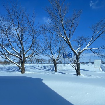 3月のお休みとコーヒ…