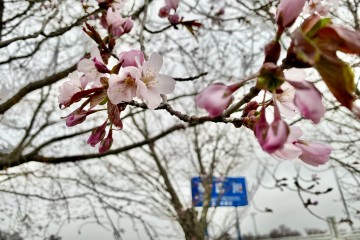 4月〜5月の営業について